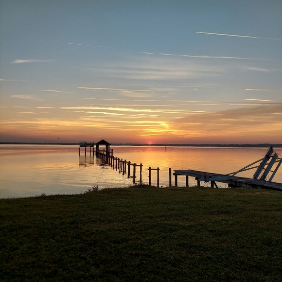 Meet your Posher, Leoandace - Picture 1 of 1